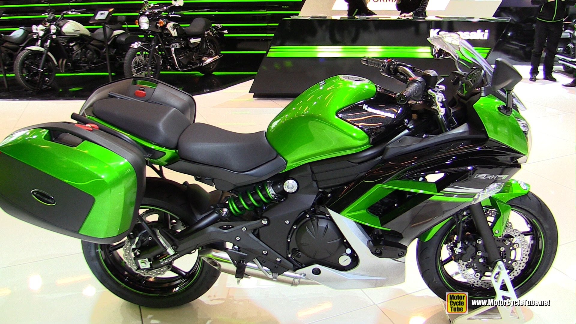 Kawasaki ER 6N:Motorcycle